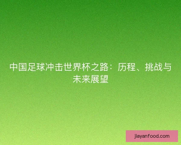 中国足球冲击世界杯之路：历程、挑战与未来展望